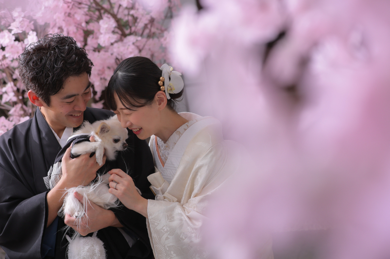 ペットと撮影屋内庭園スタジオ