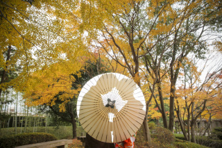 紅葉ロケーション / 花田苑