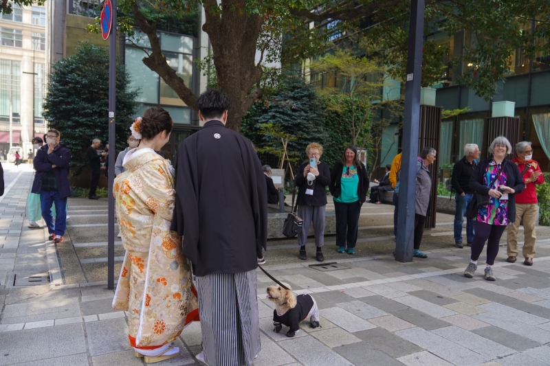 とは言え・・・