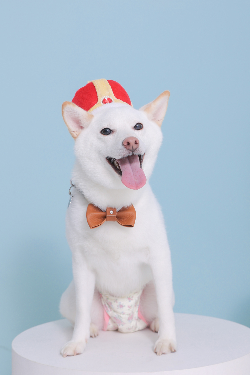 天性のモデル！！！