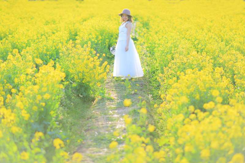 伊豆河津桜〜菜の花〜