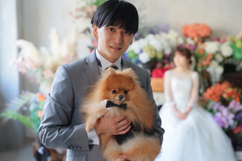 ワンちゃん登場