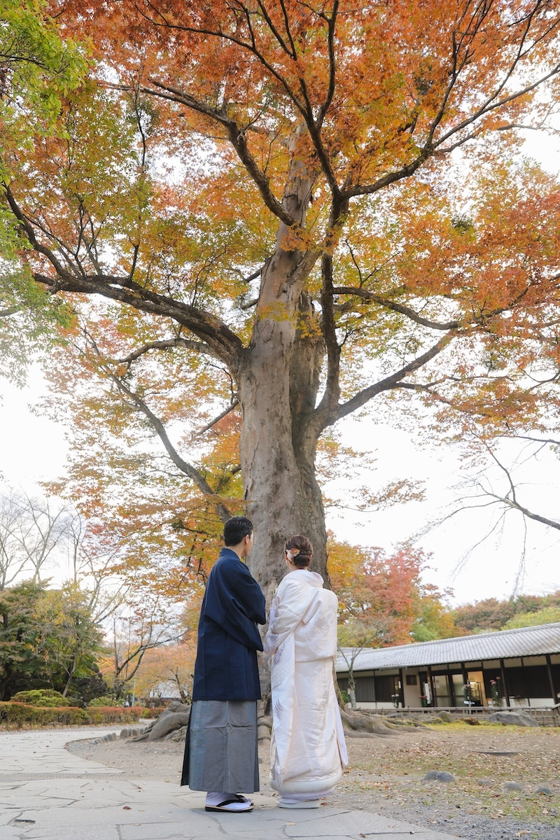 紅葉ロケーション