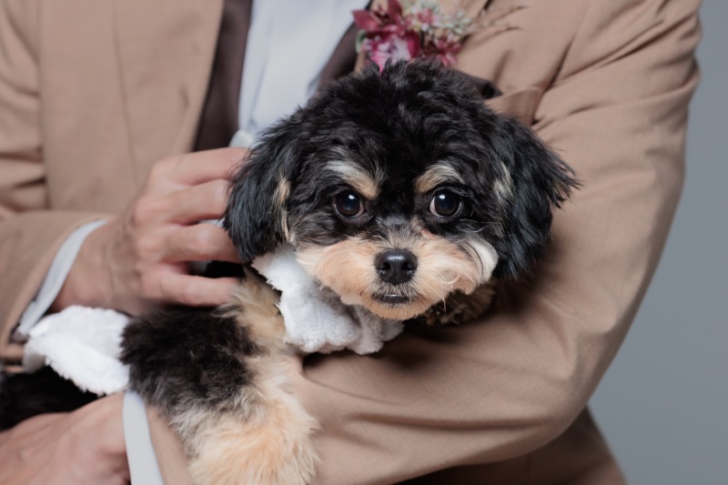 Simple Studio Photoshoot