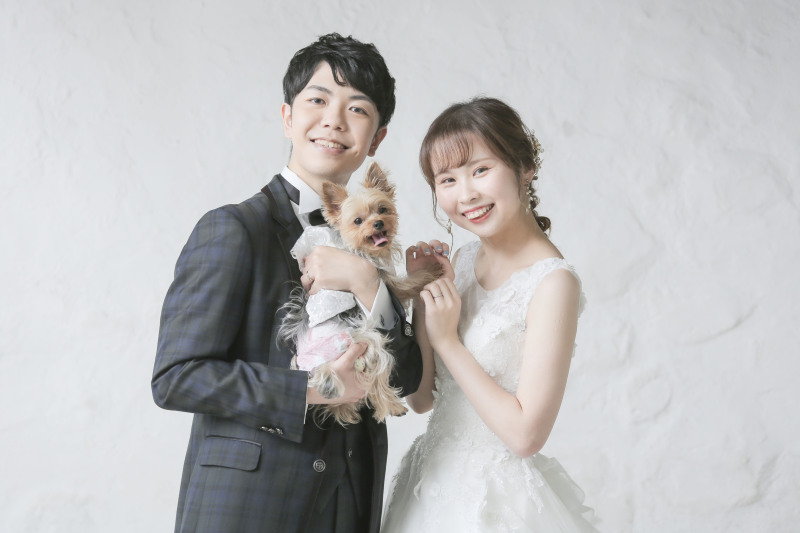 ワンちゃん登場