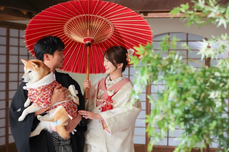 近づいてくる瞬間