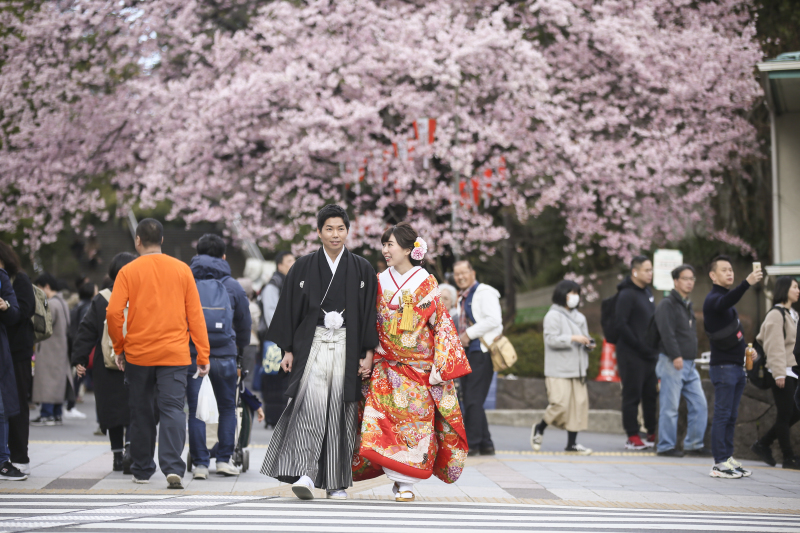 念願の桜撮影スタート♪