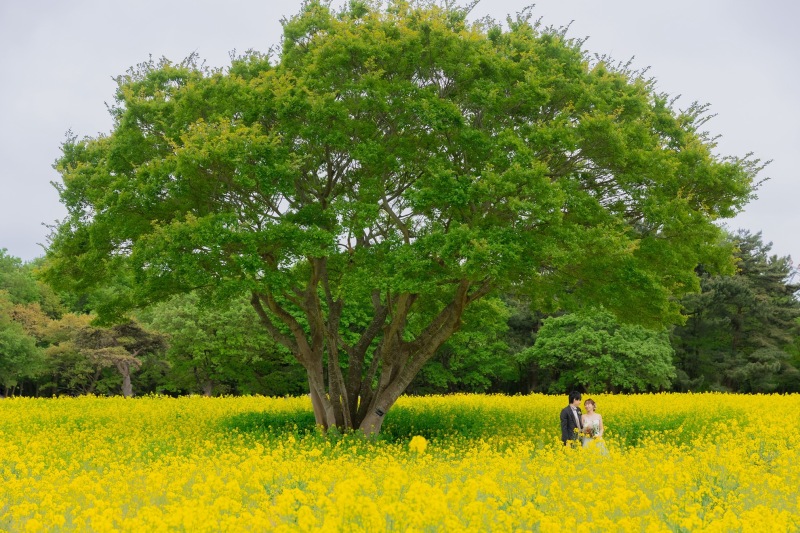 ひたち海浜公園