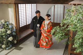 屋内庭園スタジオ