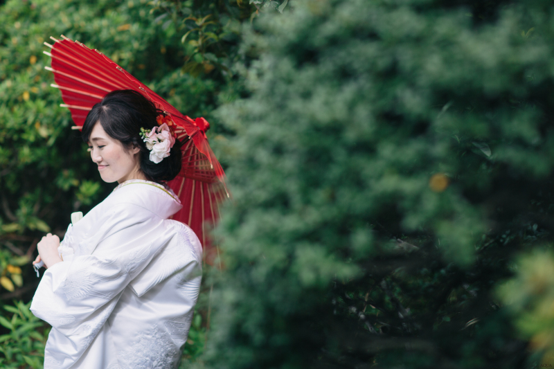 深い緑のなかで