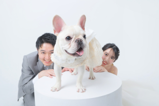 ワンちゃんとの撮影！和装スタジオ満喫☺︎