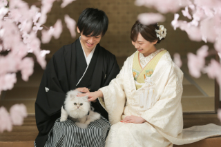 屋内庭園スタジオにて桜＆ペットとの撮影