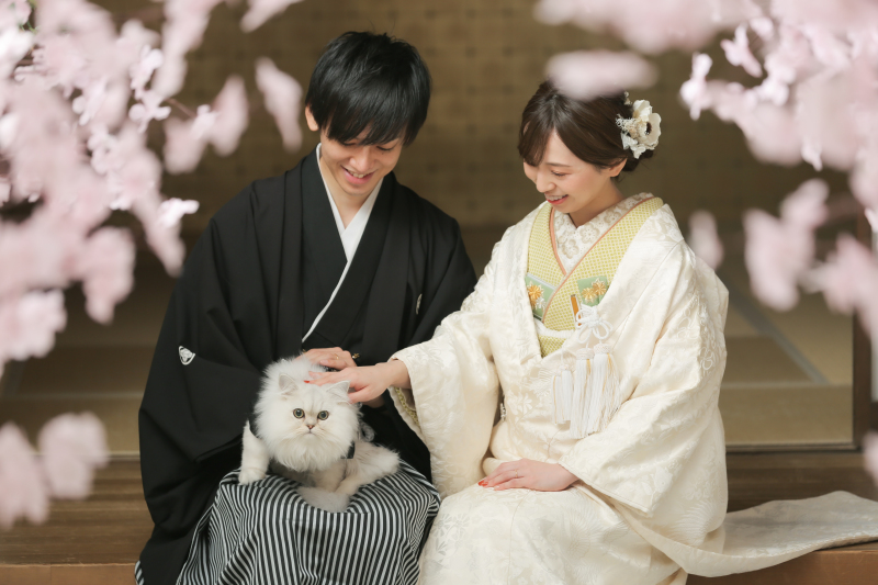 屋内庭園スタジオにて桜&ペットとの撮影