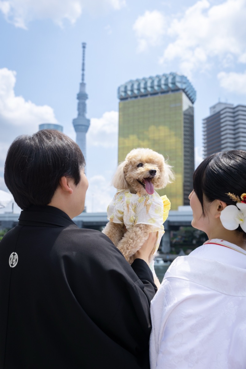スカイツリーと