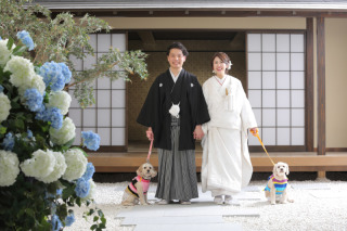 わんちゃんと屋内庭園