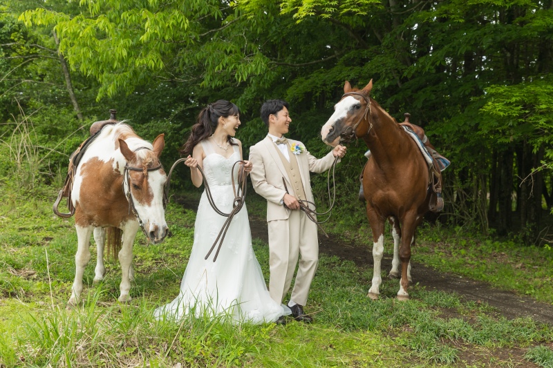 可愛いお馬さん