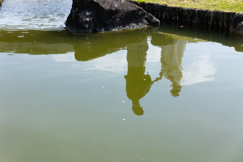 水面の反射