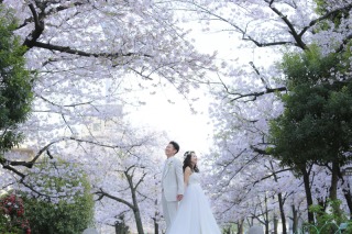 洋装ロケーション〜浅草・桜〜
