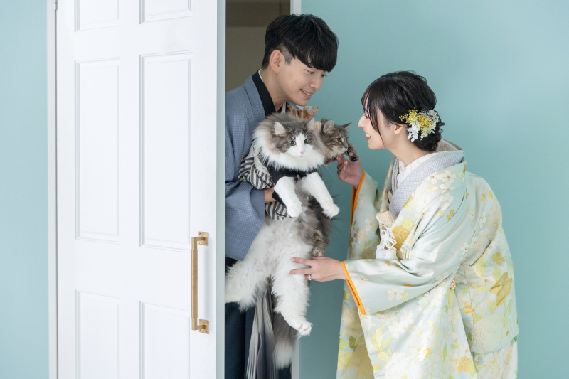 ネコちゃん達の登場です！