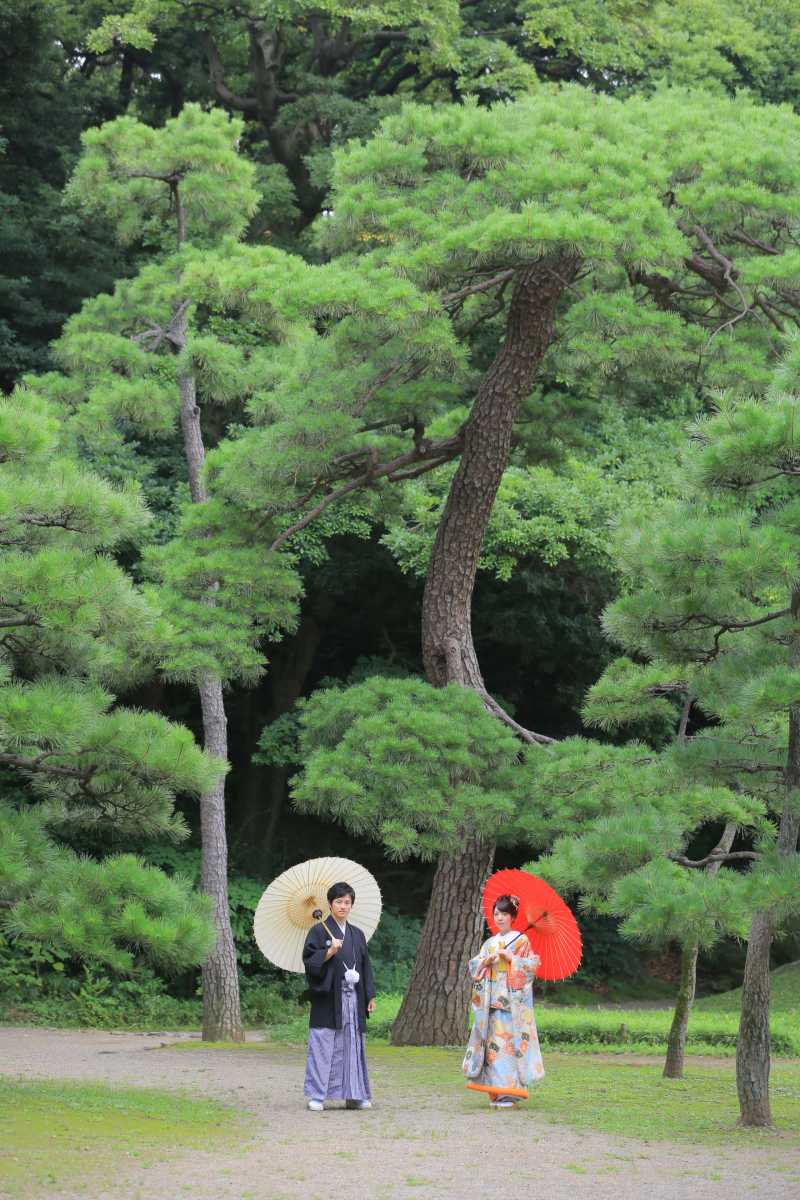 立派にそびえ立つ松と一緒に。