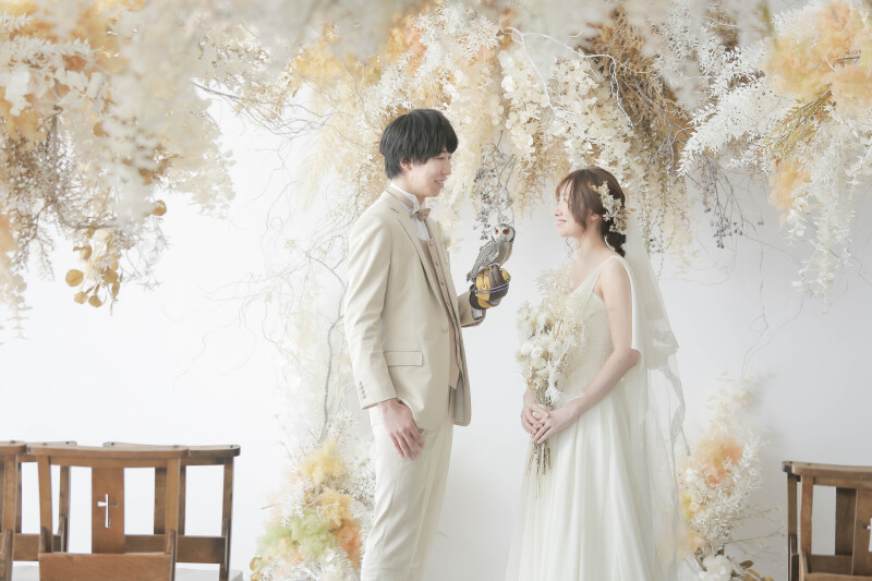 手乗りフクロウ