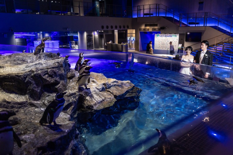 すみだ水族館