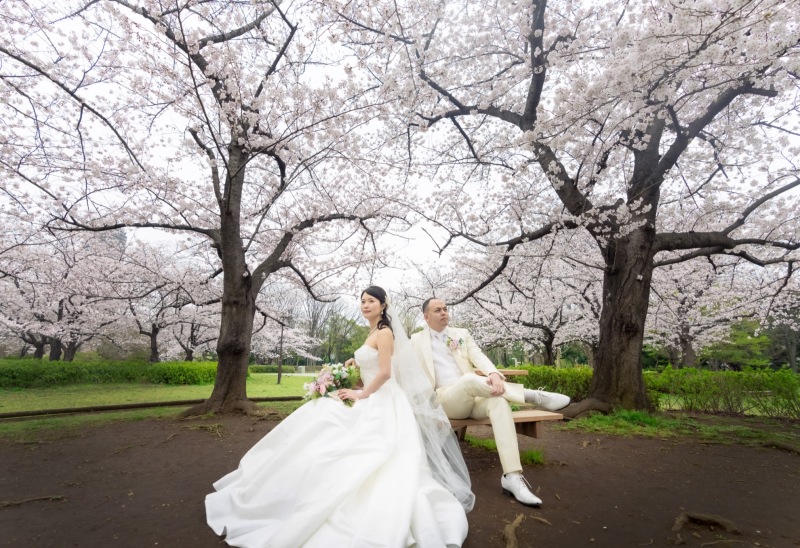 猿江恩賜公園　桜
