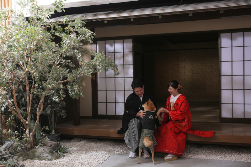 柴犬が可愛い屋内庭園撮影！