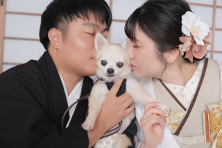 【和装】チワワと一緒にスタジオ撮影
