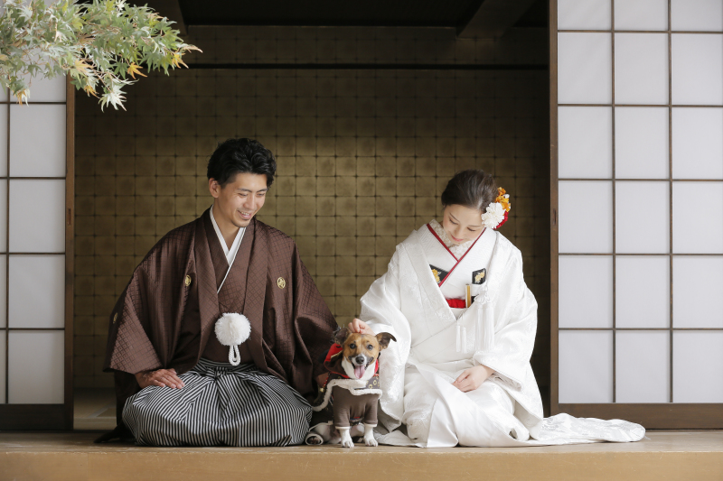 人気の正座ポーズも♪