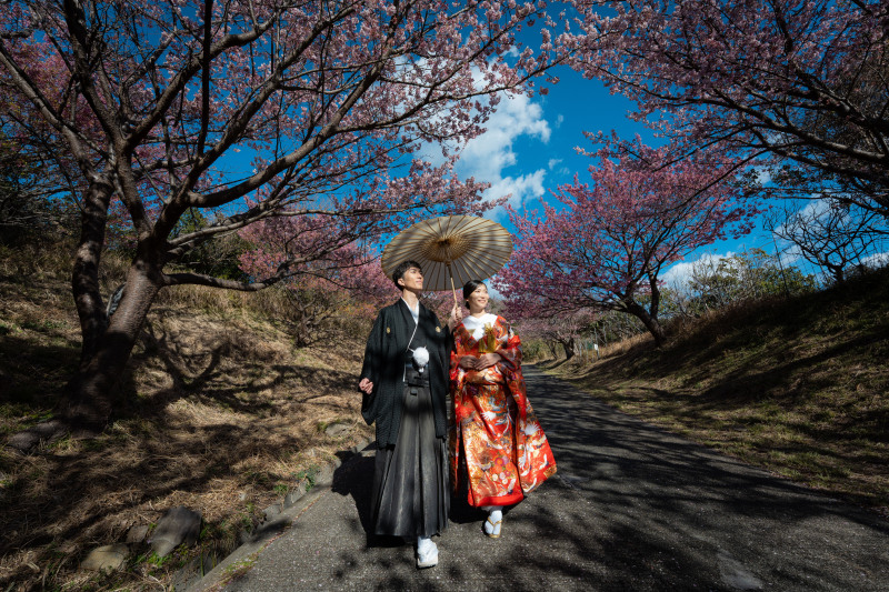 河津桜のご予約受付中です！