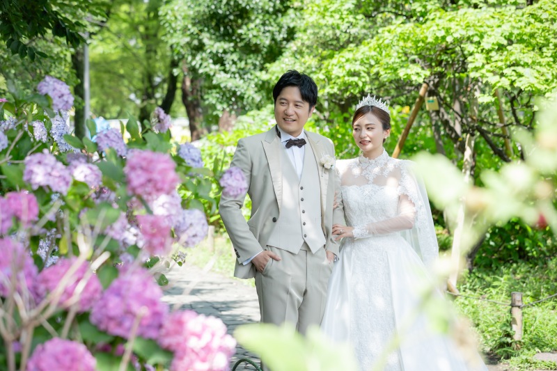 紫陽花