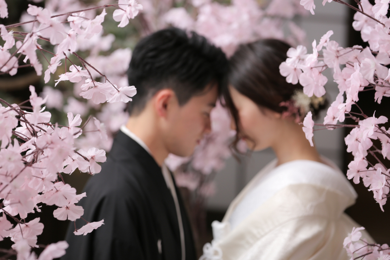 屋内庭園スタジオ