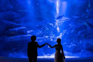 すみだ水族館で海の生き物に囲まれて