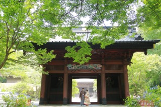 和装ロケーション〜鎌倉妙本寺〜