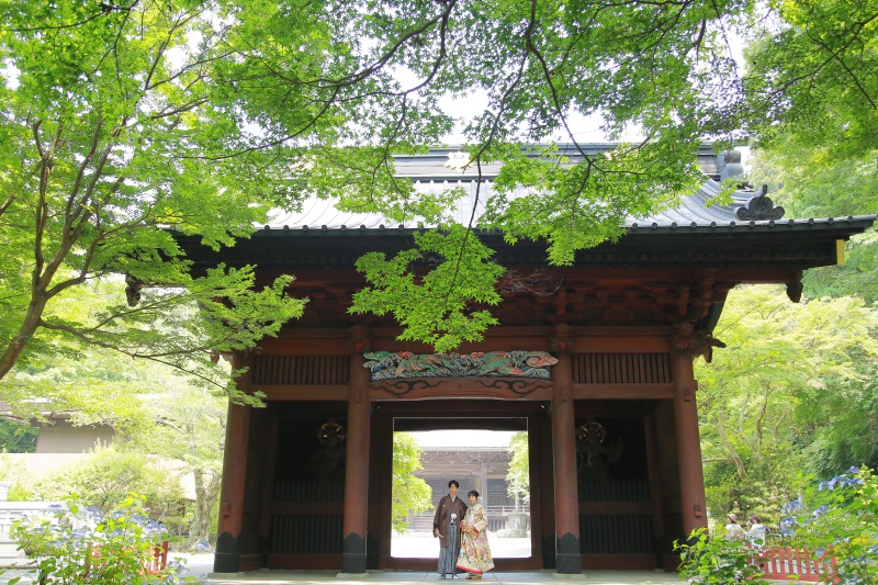 和装ロケーション〜鎌倉妙本寺〜