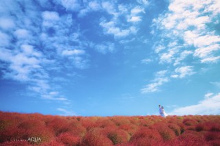 ひたち海浜公園