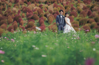 ひたち海浜公園の壮大な撮影風景！