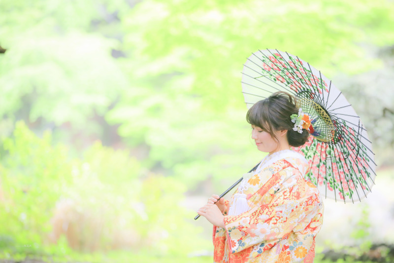 新緑のシーズン