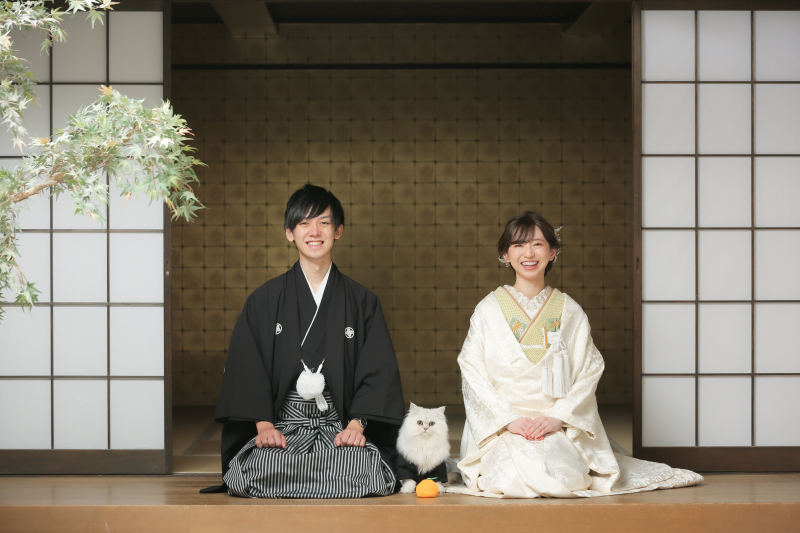 正座ショットも猫ちゃんと一緒に