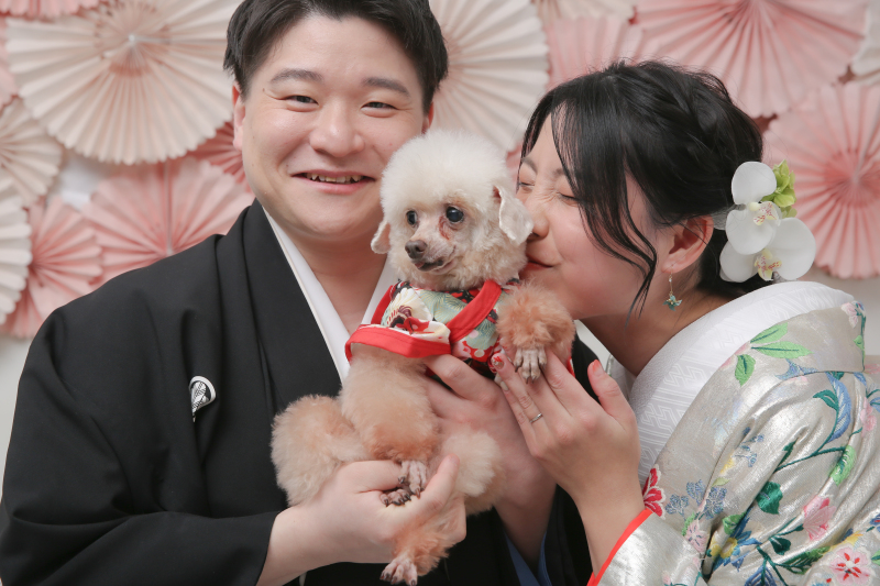 屋内庭園スタジオ