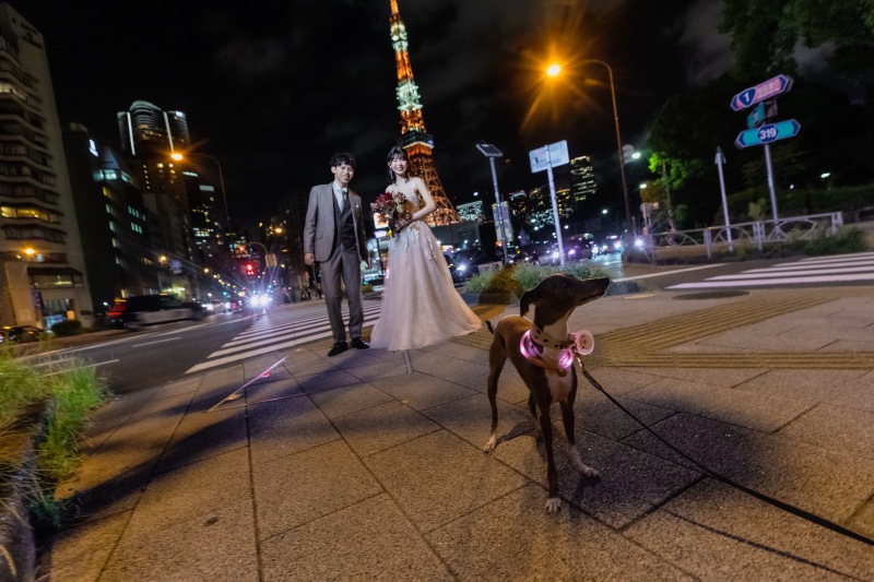 東京巡りSPECIALロケーション