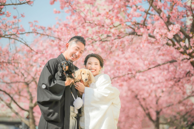 河津桜+屋内庭園