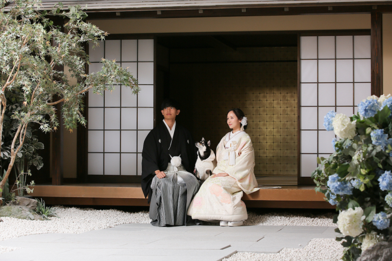 ワンちゃんご登場！