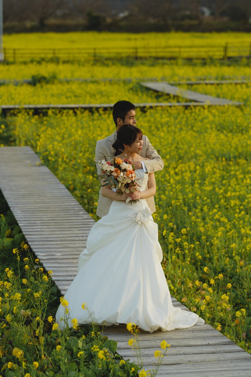 菜の花に囲まれて