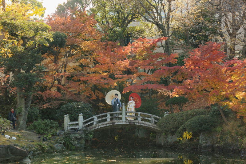 紅葉が見頃の旧安田庭園