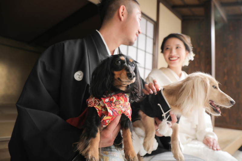 河津桜+屋内庭園プラン