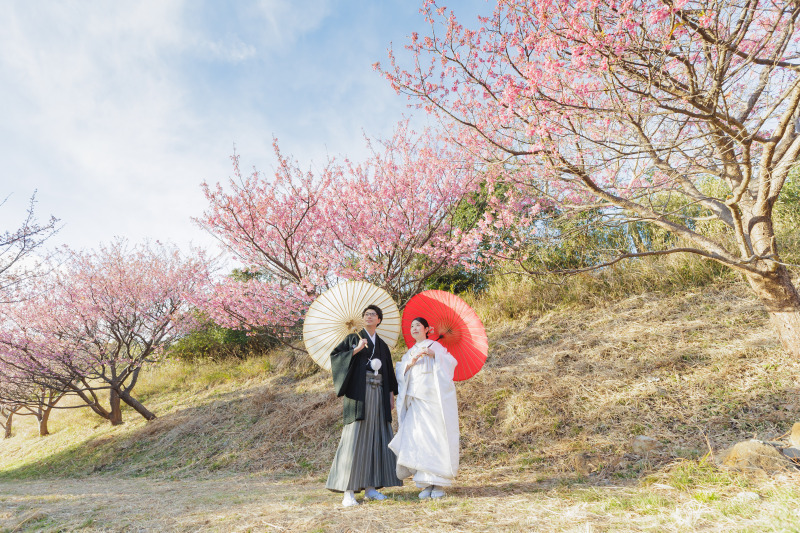 3箇所目は恋人岬の土肥桜！