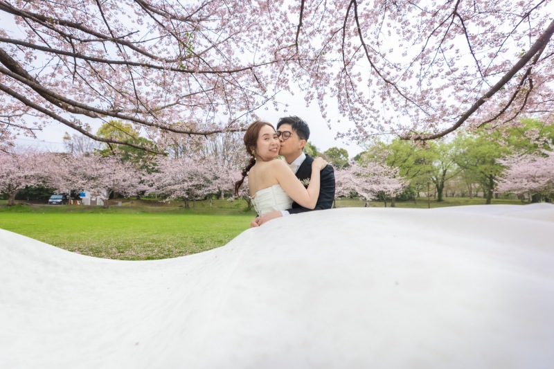 Under the cherryblossoms