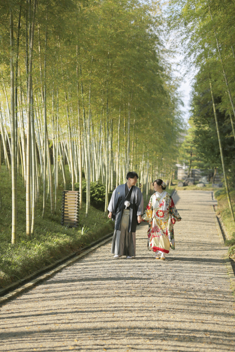 竹林×木漏れ日